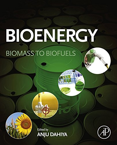 Bioénergie : Biomasse à Biocarburants